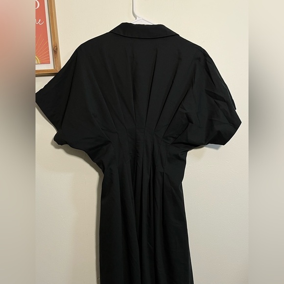 The Tobie Button-Front Pleated Shirt Dress: Embellished Edition - Picture 8 of 8